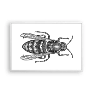 Affiche dans un cadre blanc - Poster - D'une planète d'insectes - 91x61 cm