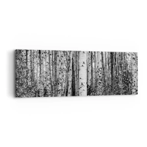 Impression sur toile - Image sur toile - Enchevêtrement de bouleau - 90x30 cm