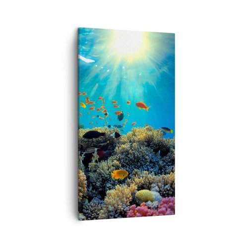 Impression sur toile - Image sur toile - Trésor sous-marin - 45x80 cm