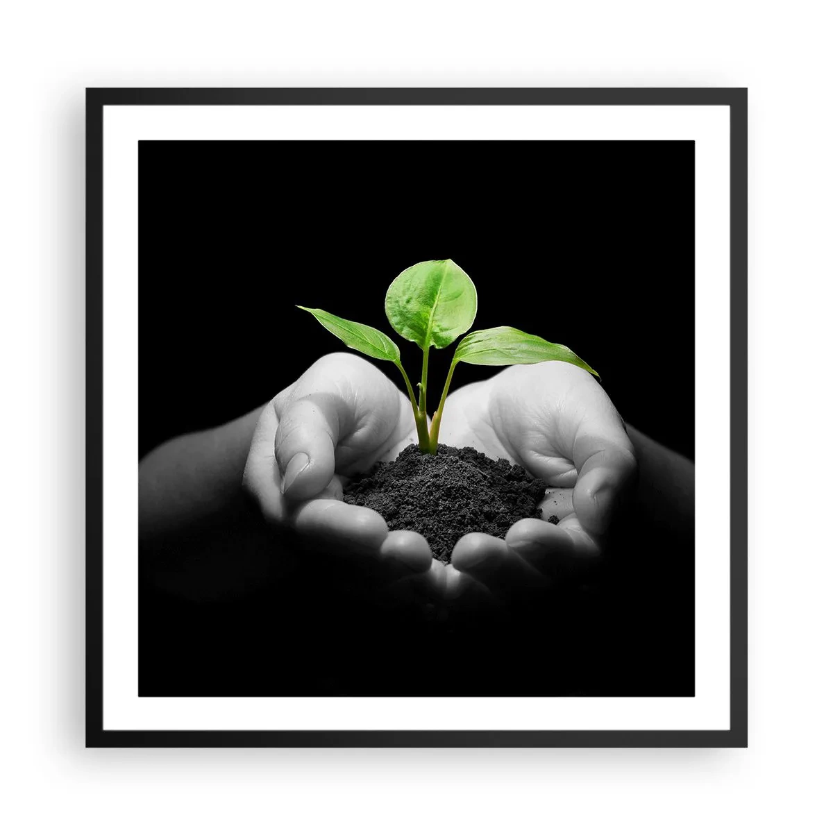 Affiche dans un cadre noir - Poster - J'aime la nature, je la protège - 60x60 cm