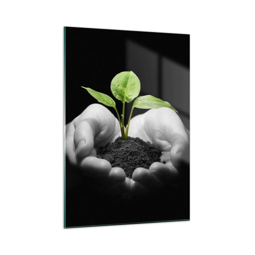 Impression sur verre - Image sur verre - Une jeune plante dans les mains sur un fond noir - 50x70cm - J'aime la nature, je la protège - Décoration murale moderne pour le salon et la chambre ARTTOR