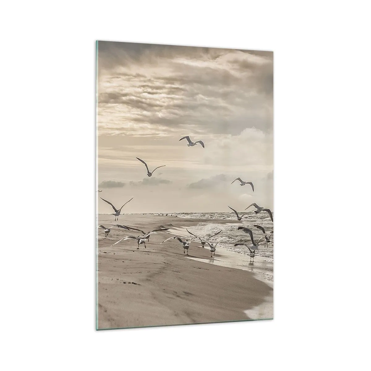 Impression sur verre - Image sur verre - Une mouette en vol au-dessus d'un paysage balnéaire - 70x100cm - Le bruit de la mer, le chant des oiseaux - Décoration murale moderne pour le salon et la chambre ARTTOR