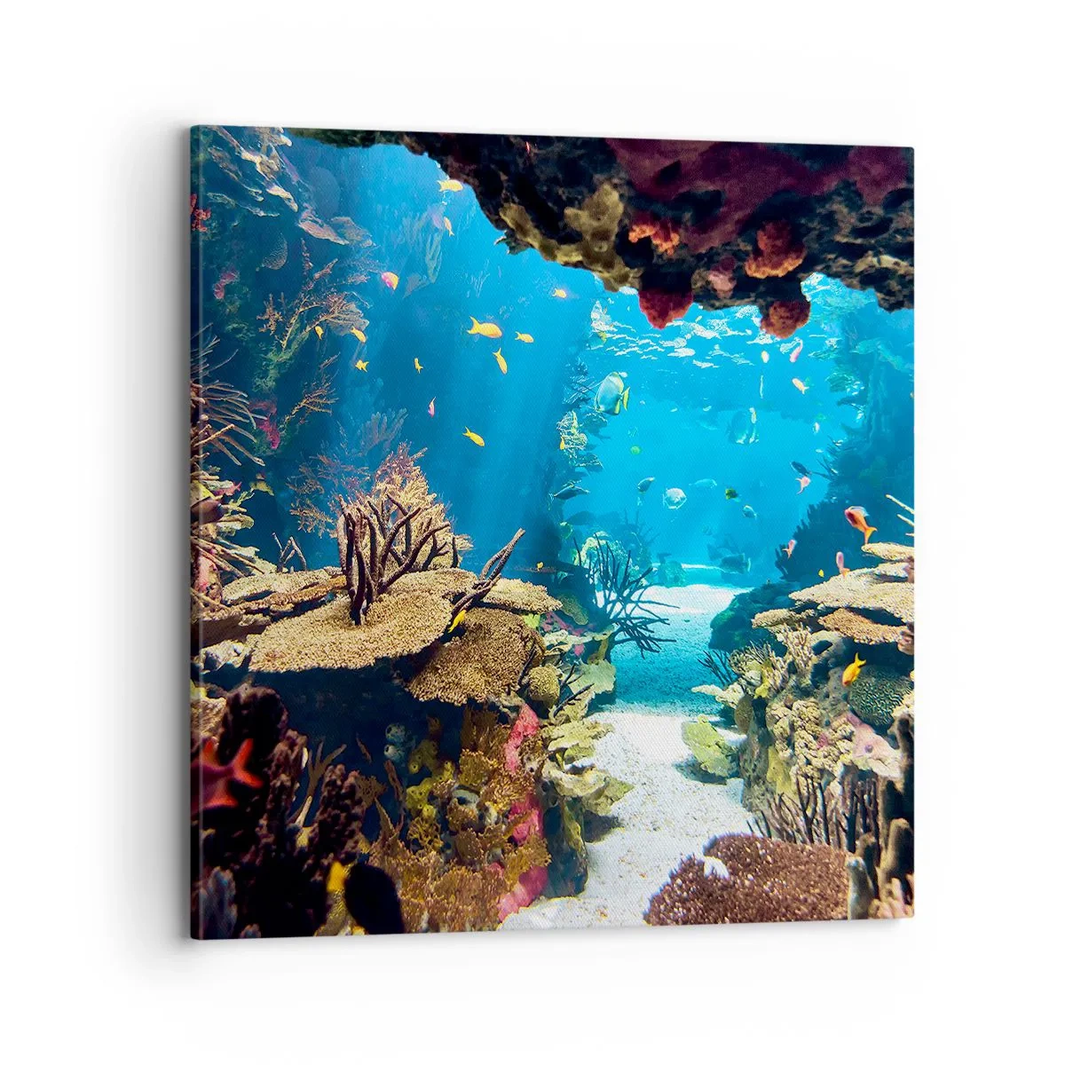 Impression sur toile - Image sur toile - Tu ne l'as même pas rêvé - 70x70 cm