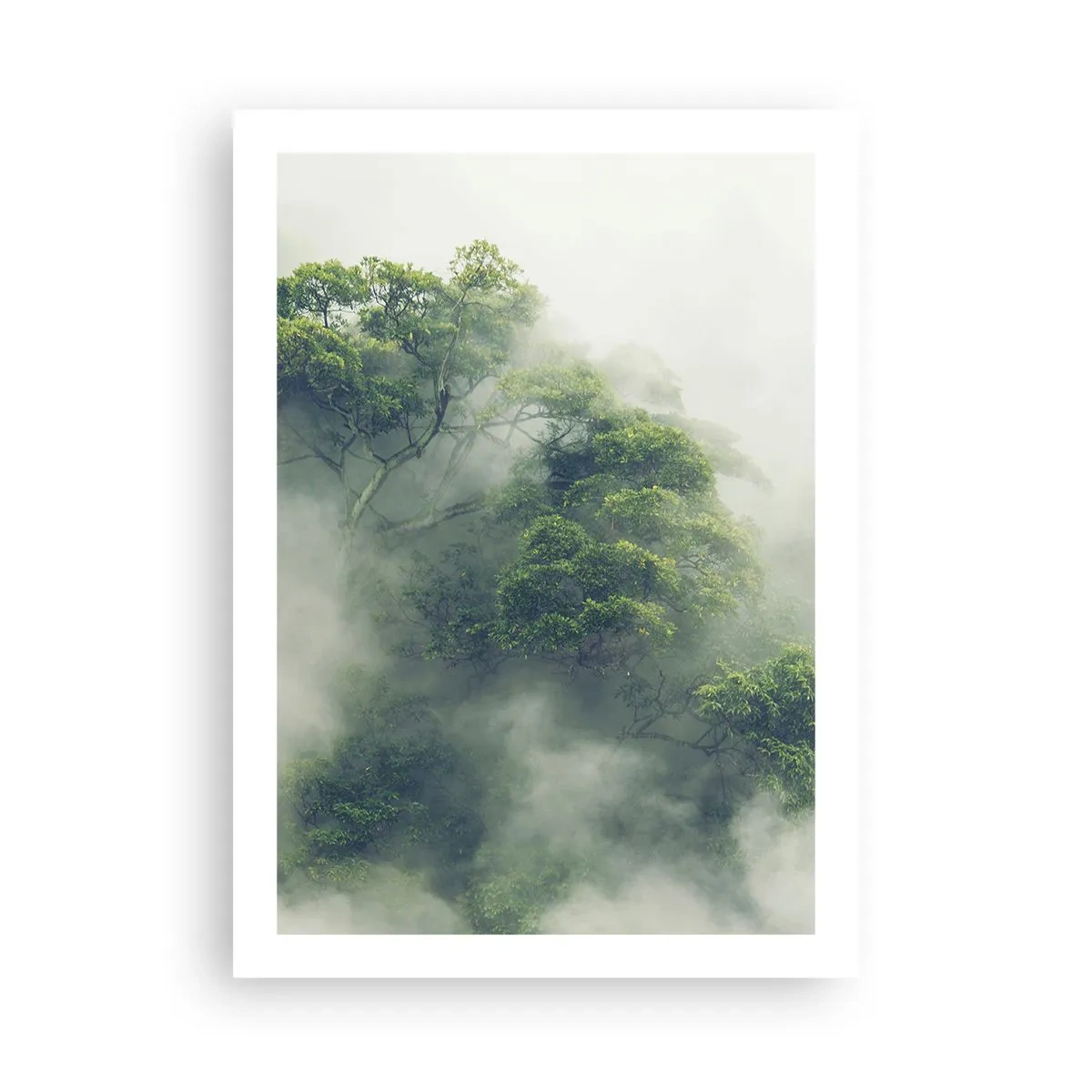 Affiche - Poster - Des cimes d'arbres vertes cachées dans un épais brouillard mystérieux - 50x70cm - Enveloppé de brouillard - Décoration murale moderne pour le salon et la chambre ARTTOR