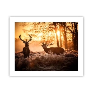 Affiche - Poster - Le rêve d'un chasseur - 50x40 cm