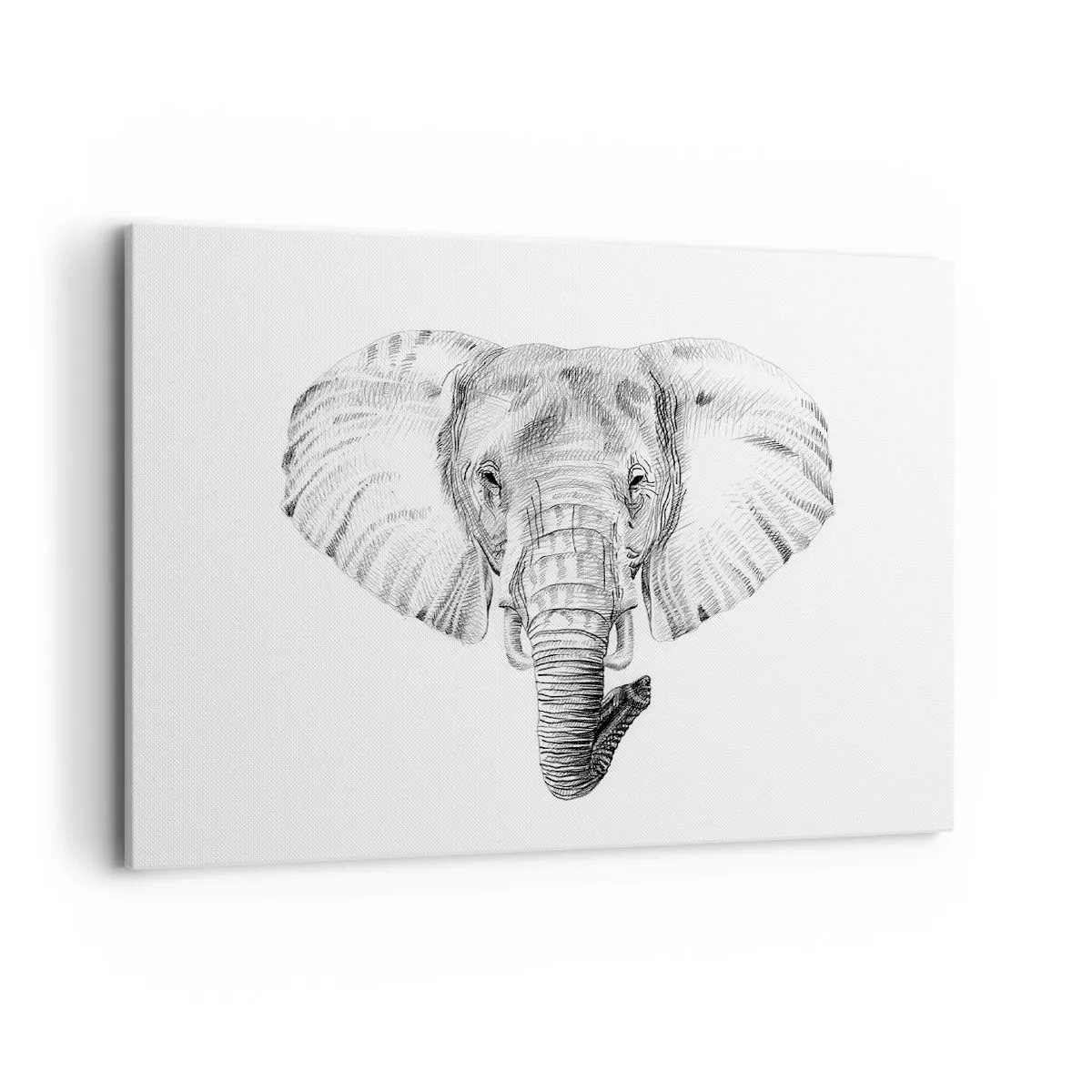 Impression sur toile - Image sur toile - Dessin en noir et blanc d'une tête d'éléphant sur fond blanc - 100x70cm - "Un éléphant ça trompe bien souvent" - Décoration murale moderne pour le salon et la chambre ARTTOR