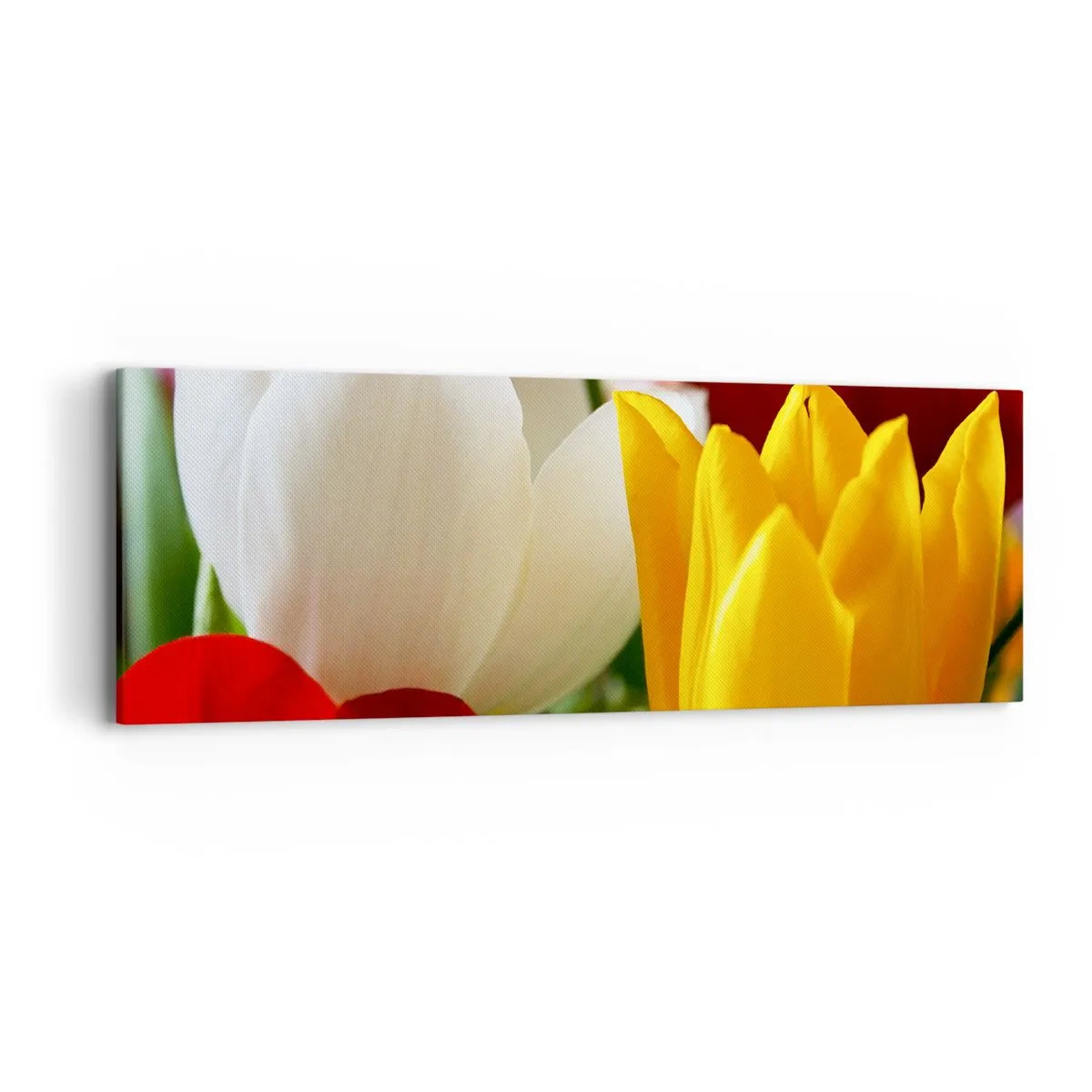Impression sur toile - Image sur toile - La fièvre des tulipes - 90x30 cm