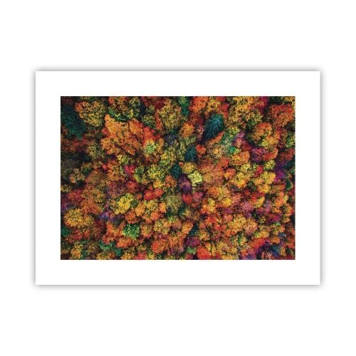 Affiche - Poster - Bouquet d'arbres automnal - 40x30 cm