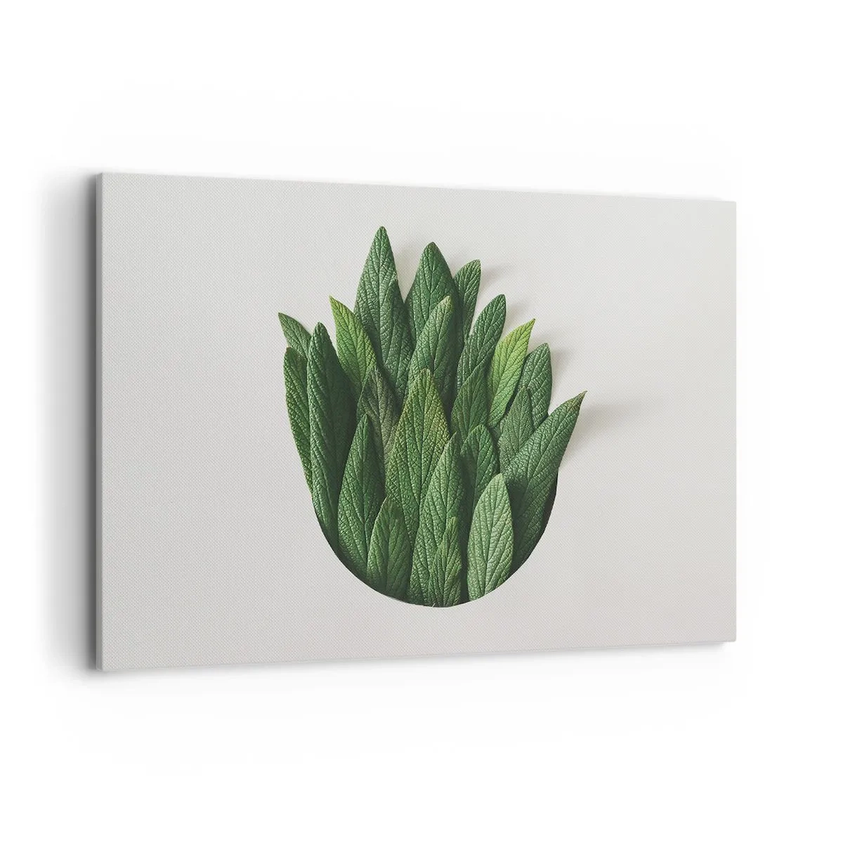 Impression sur toile - Image sur toile - Une composition de feuilles vertes sur un fond clair - 120x80cm - Curiosité sans retenue - Décoration murale moderne pour le salon et la chambre ARTTOR