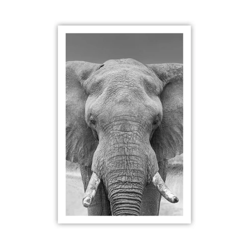 Affiche - Poster - Bienvenue dans mon monde - 61x91 cm