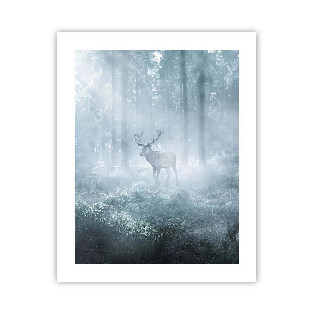 Affiche - Poster - Visite matinale du domaine - 40x50 cm