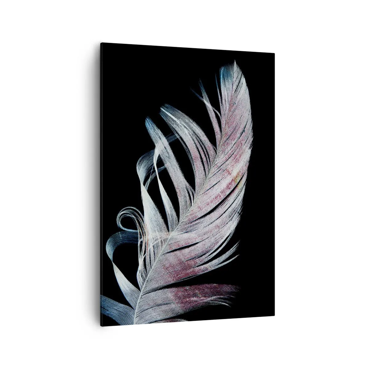 Impression sur toile - Image sur toile - Une plume délicate sur fond noir dans une démarche artistique - 70x100cm - Pensez au toucher - Décoration murale moderne pour le salon et la chambre ARTTOR