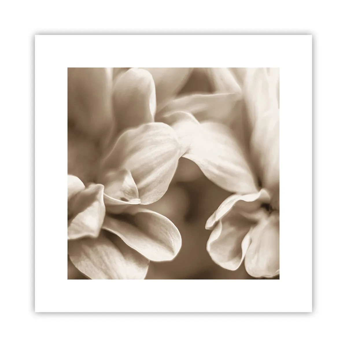 Affiche - Poster - Doux comme un sourire - 30x30 cm