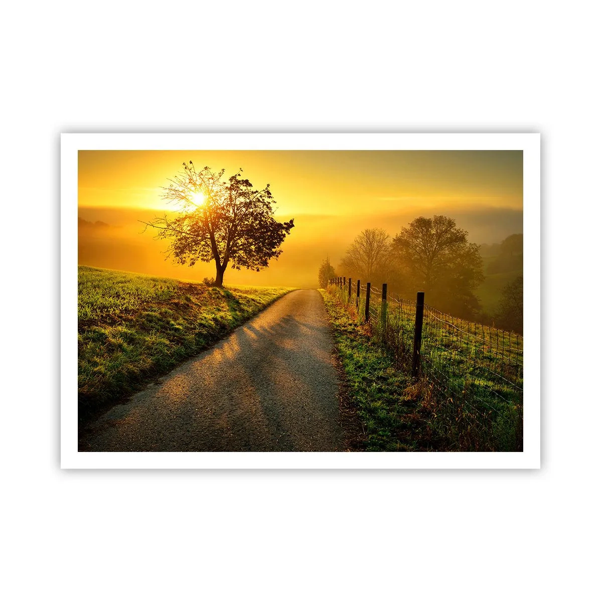 Affiche - Poster - Une route pittoresque au coucher du soleil avec un arbre solitaire en arrière-plan - 100x70cm - Après-midi de miel - Décoration murale moderne pour le salon et la chambre ARTTOR