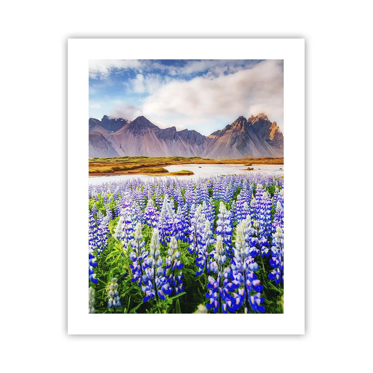 Affiche - Poster - La force et l'austérité côtoient la douceur - 40x50 cm