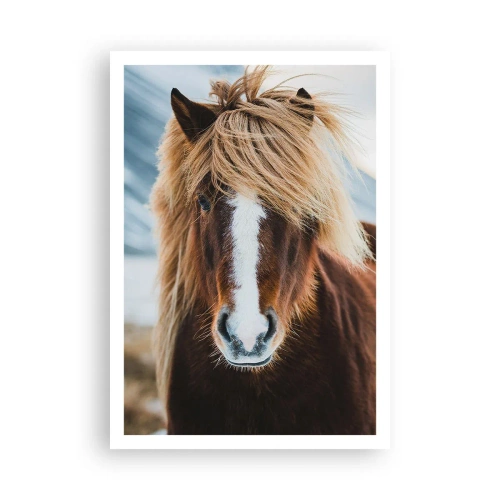 Affiche - Poster - Sentez-vous la liberté ? - 70x100 cm