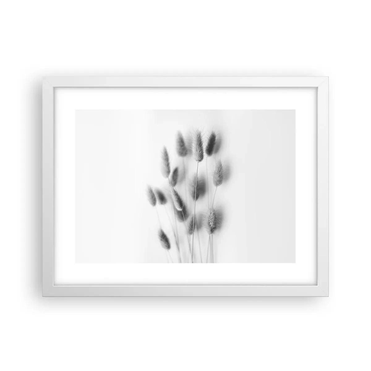 Affiche dans un cadre blanc - Poster - Son herbe duveteuse - 40x30 cm