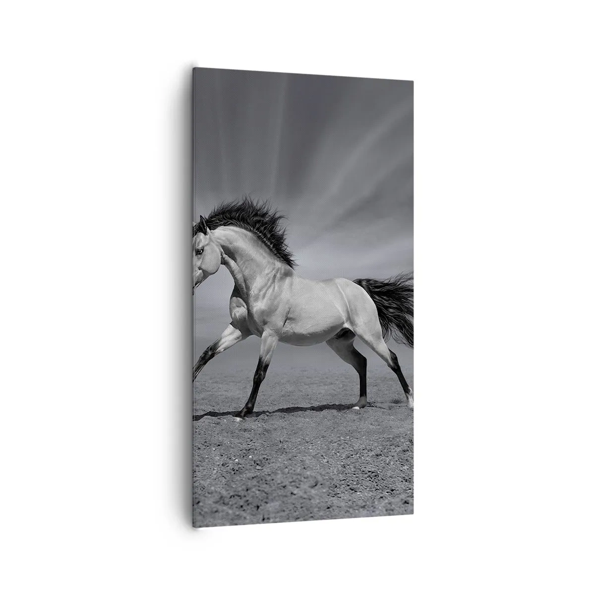 Impression sur toile - Image sur toile - Né pour séduire - 65x120 cm