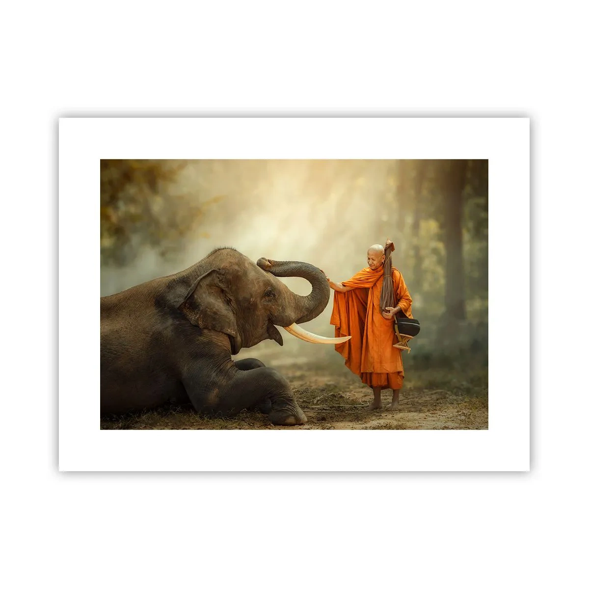 Affiche - Poster - Rencontre en voyageant - 40x30 cm