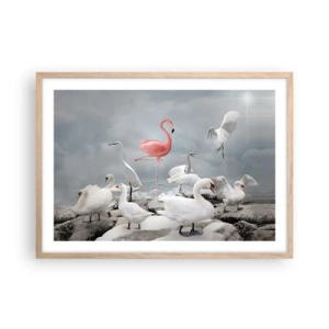 Affiche dans un chêne clair - Poster - Comment suis-je arrivé là? - 70x50 cm