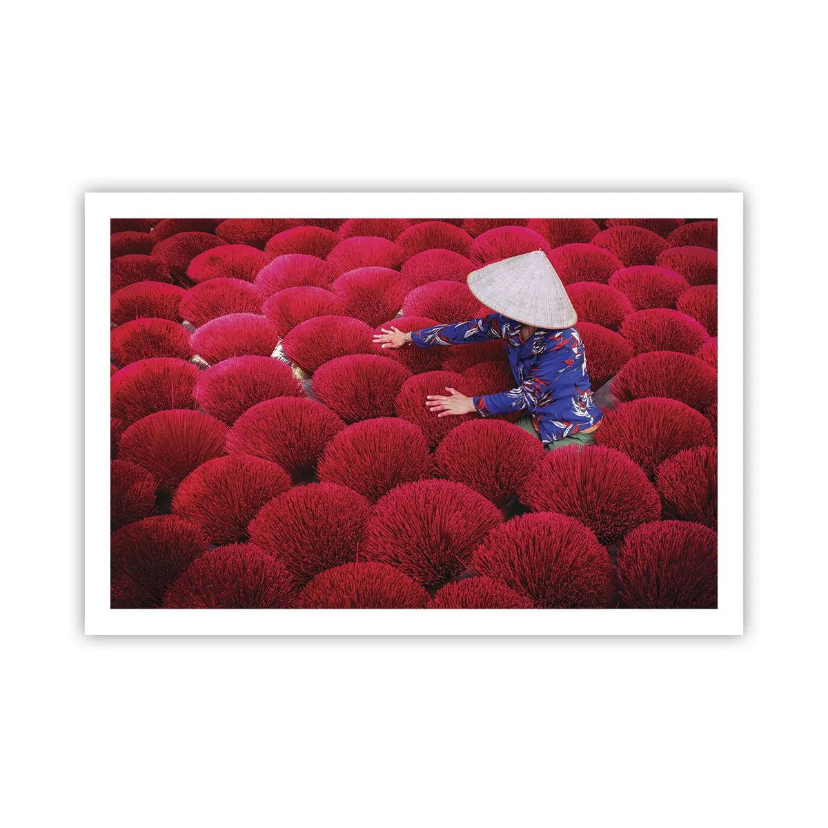 Affiche - Poster - Dans un champ de riz - 91x61 cm