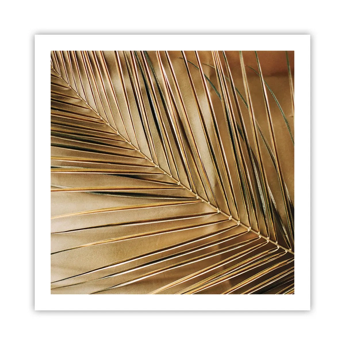 Affiche - Poster - Colonnade naturelle - 60x60 cm