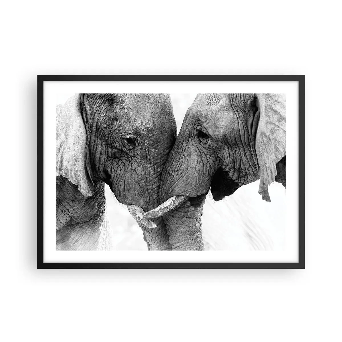 Affiche dans un cadre noir - Poster - Deux éléphants dans un geste tendre sur un fond monochrome - 70x50cm - Confession sincère - Décoration murale moderne pour le salon et la chambre ARTTOR