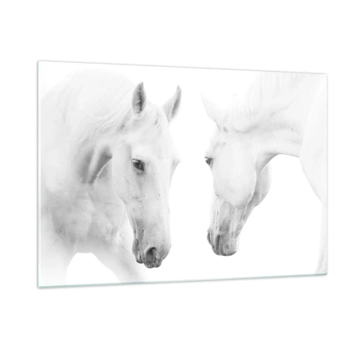 Impression sur verre - Image sur verre - Deux chevaux blancs se faisant face sur un fond clair - 120x80cm - Serait-ce de l’amitié? - Décoration murale moderne pour le salon et la chambre ARTTOR