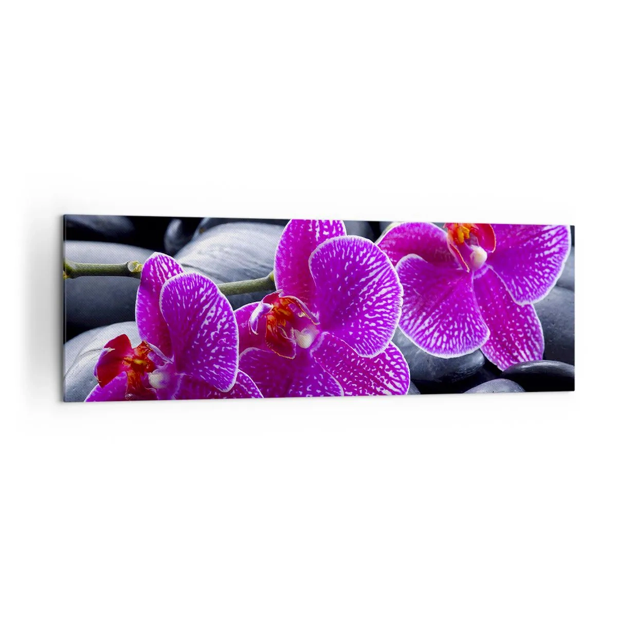 Impression sur toile - Image sur toile - Orchidées violettes sur fond de pierres noires - 160x50cm - Les pierres brillaient de joie - Décoration murale moderne pour le salon et la chambre ARTTOR