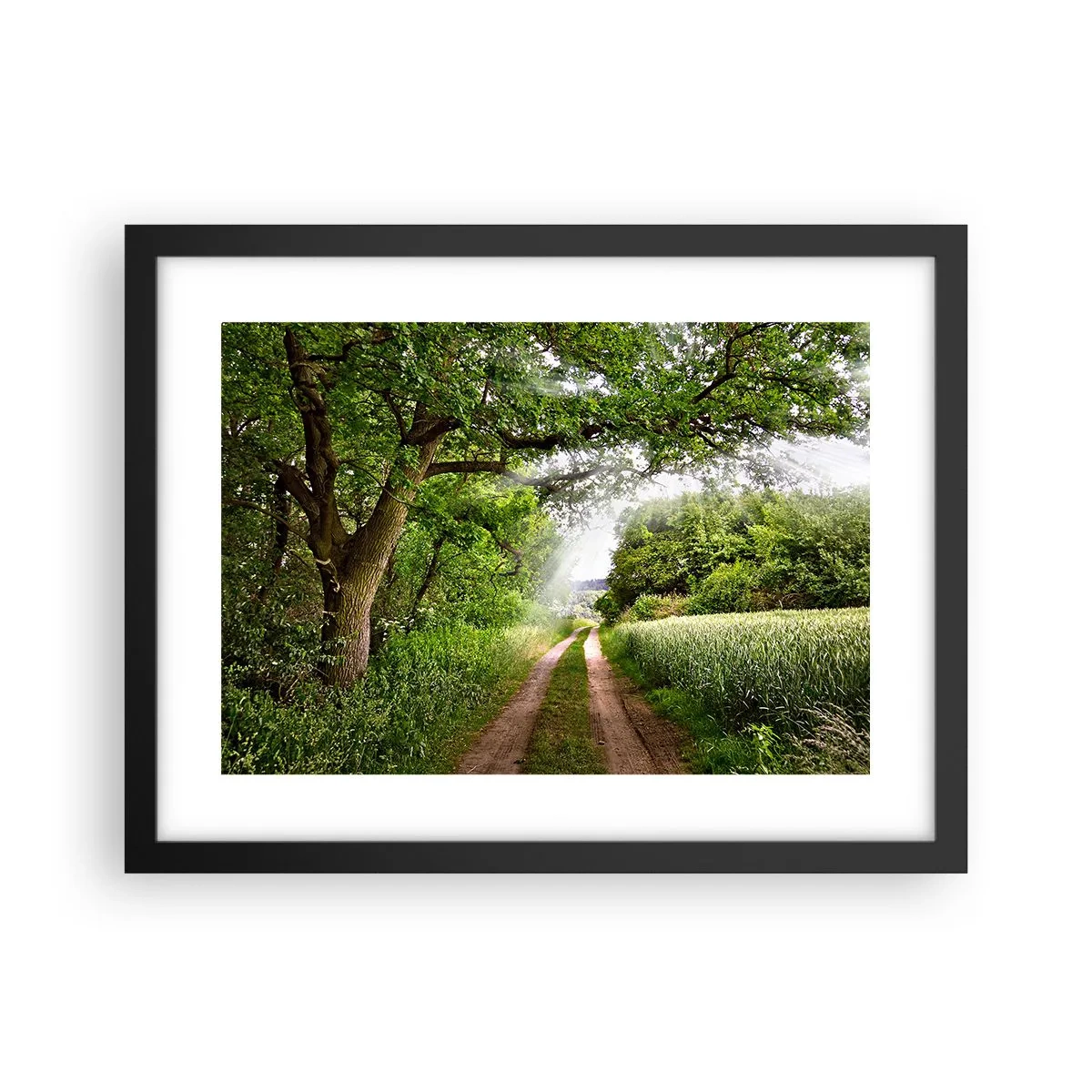 Affiche dans un cadre noir - Poster - Et in Arcadia ego - 40x30 cm