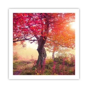 Affiche - Poster - Frénésie de floraison - 60x60 cm