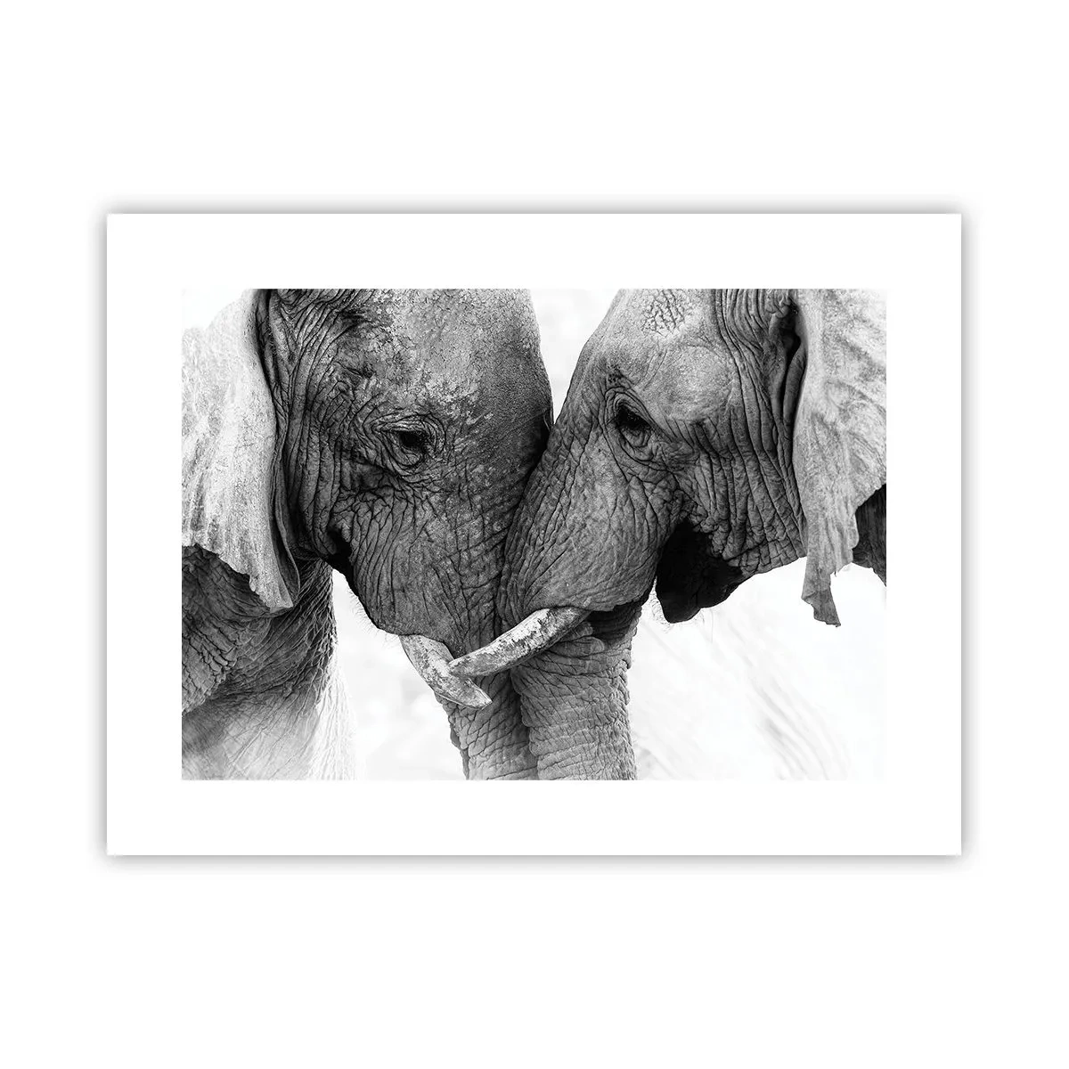 Affiche - Poster - Confession sincère - 40x30 cm