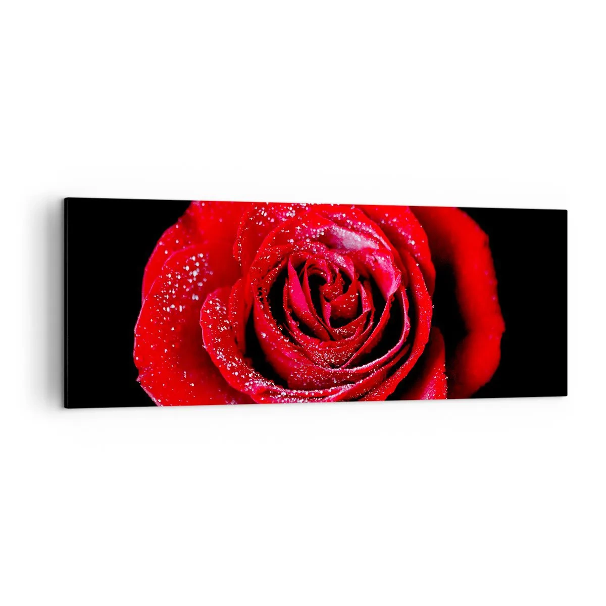 Impression sur toile - Image sur toile - Une rose rouge couverte de gouttes de rosée sur fond noir. - 140x50cm - C'est ça l'amour - Décoration murale moderne pour le salon et la chambre ARTTOR