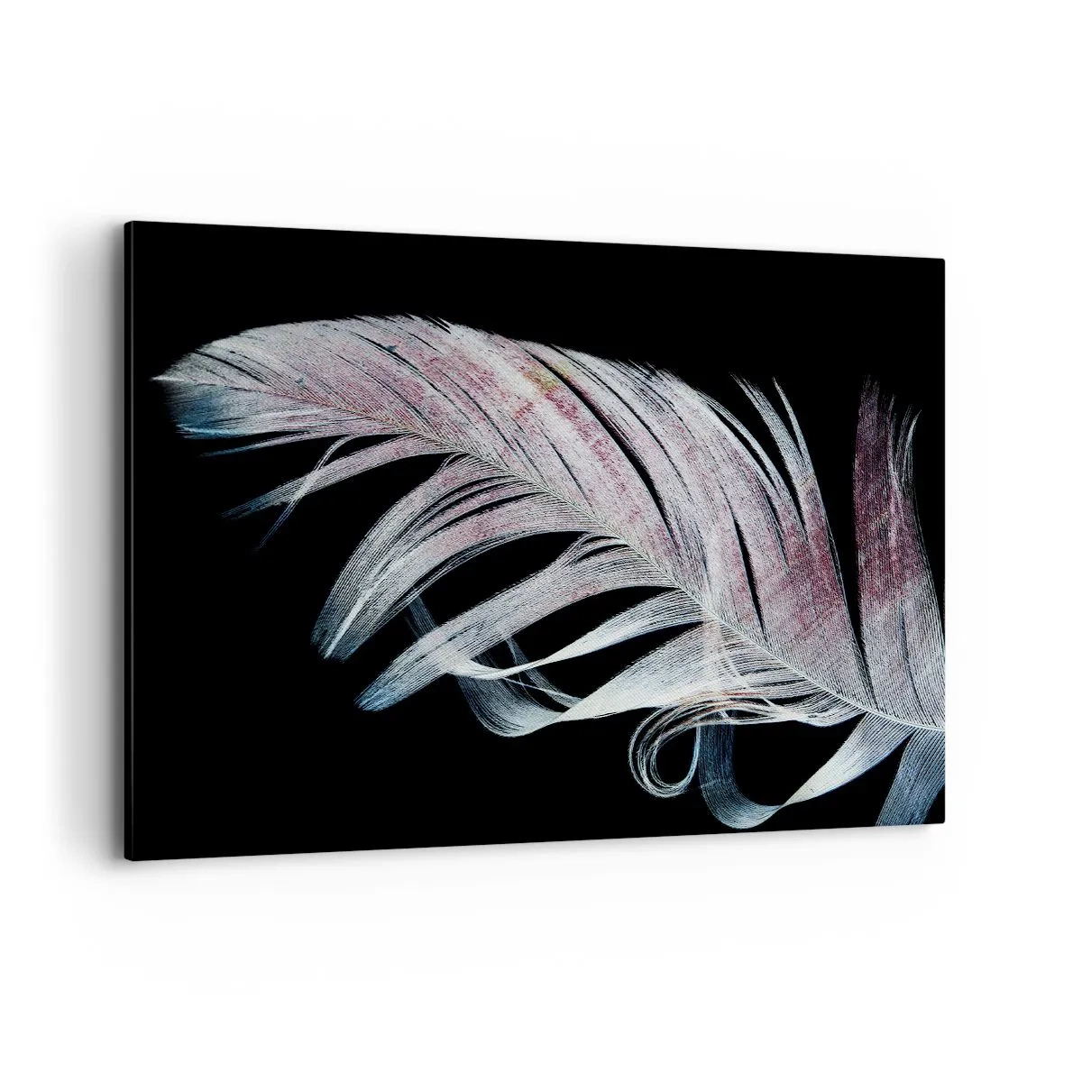Impression sur toile - Image sur toile - Une plume délicate sur fond noir dans une démarche artistique - 100x70cm - Pensez au toucher - Décoration murale moderne pour le salon et la chambre ARTTOR