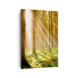 Impression sur toile - Image sur toile - Forêt de conifères avec les rayons du soleil qui brillent à travers les arbres - 70x100cm - Les elfes vont bientôt apparaître - Décoration murale moderne pour le salon et la chambre ARTTOR