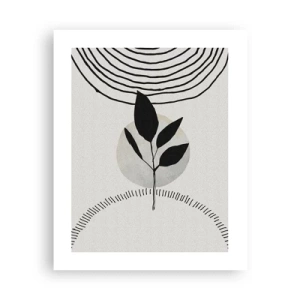 Affiche - Poster - Composition : rituels de la nature - 40x50 cm