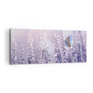 Impression sur toile - Image sur toile - Baiser de papillon - 100x40 cm