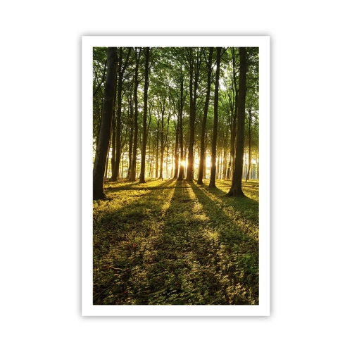 Affiche - Poster - Toutes les photographies de printemps - 61x91 cm