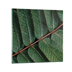 Impression sur verre - Image sur verre - Au rythme de la verdure - 70x70 cm