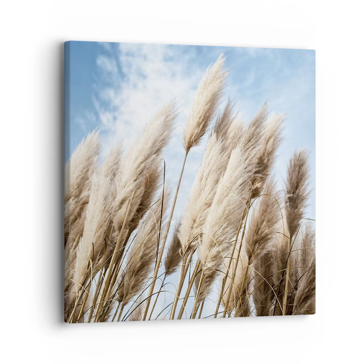 Impression sur toile - Image sur toile - Caresse ensoleillée et venteuse - 30x30 cm