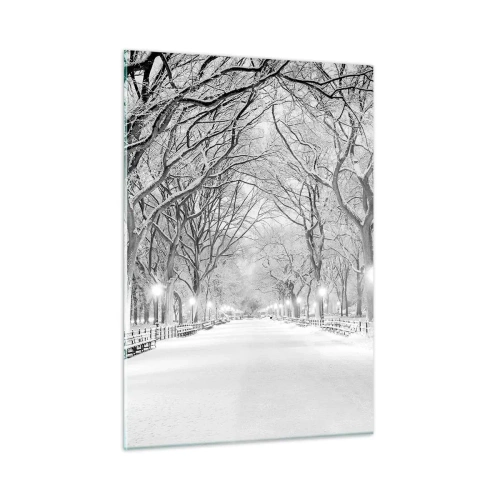 Impression sur verre - Image sur verre - Allée d'arbres d'hiver dans le parc avec des lumières et de la neige - 50x70cm - Les quatres saisons – l’hiver - Décoration murale moderne pour le salon et la chambre ARTTOR