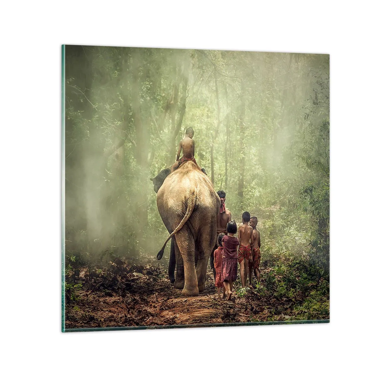Impression sur verre - Image sur verre - Nouveau livre de la jungle - 30x30 cm