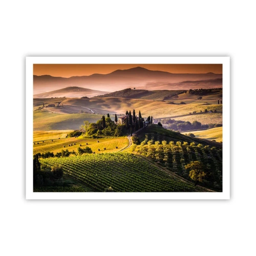 Affiche - Poster - Paysage toscan avec des vignes et une maison sur une colline - 100x70cm - Arcadie - le paysage toscan - Décoration murale moderne pour le salon et la chambre ARTTOR
