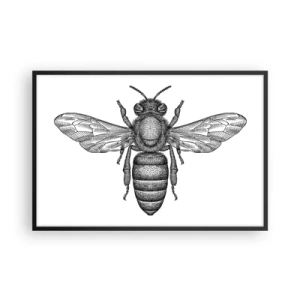 Affiche dans un cadre noir - Poster - Portrait d'insecte - 91x61 cm