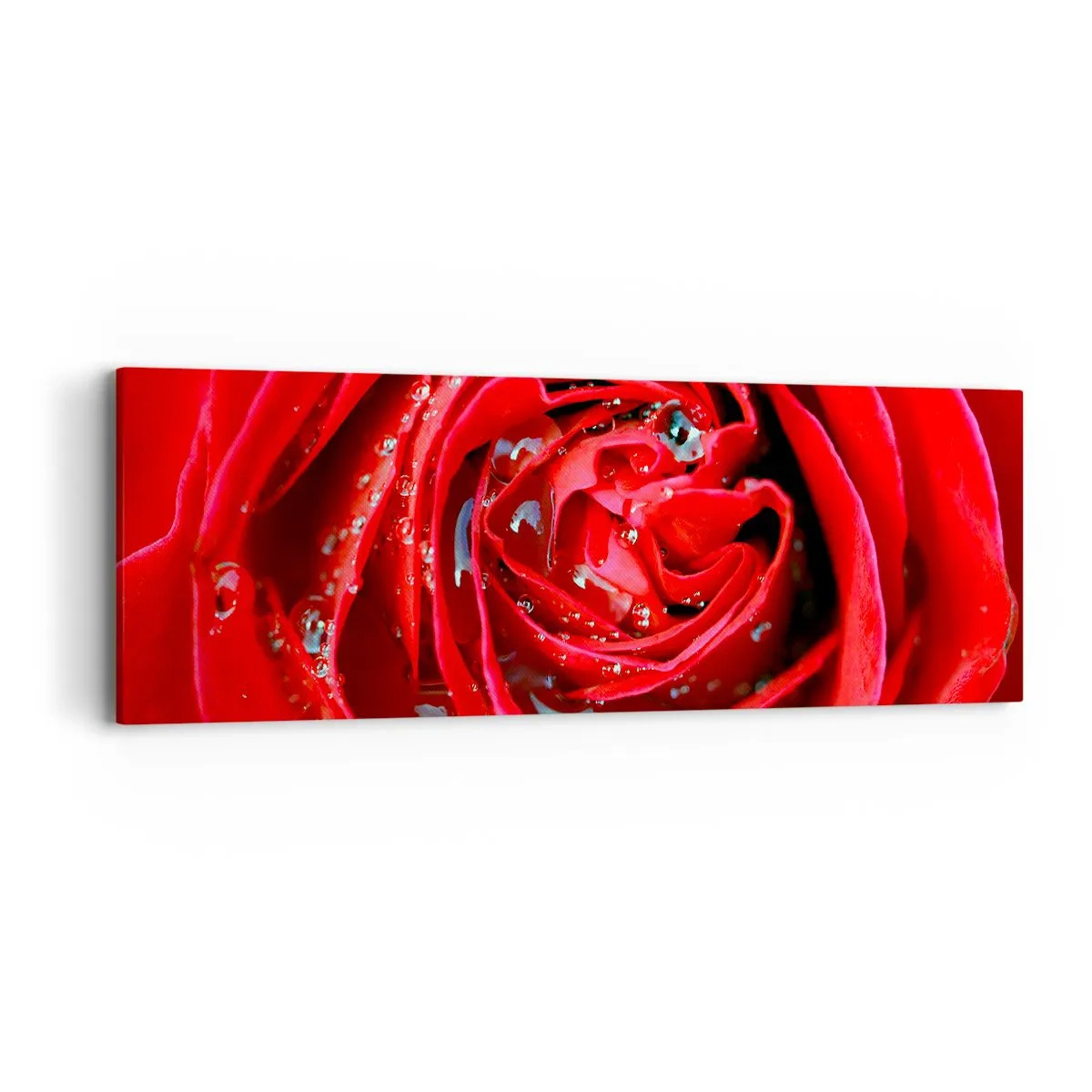 Impression sur toile - Image sur toile - Dans les gouttes de rosée - 90x30 cm