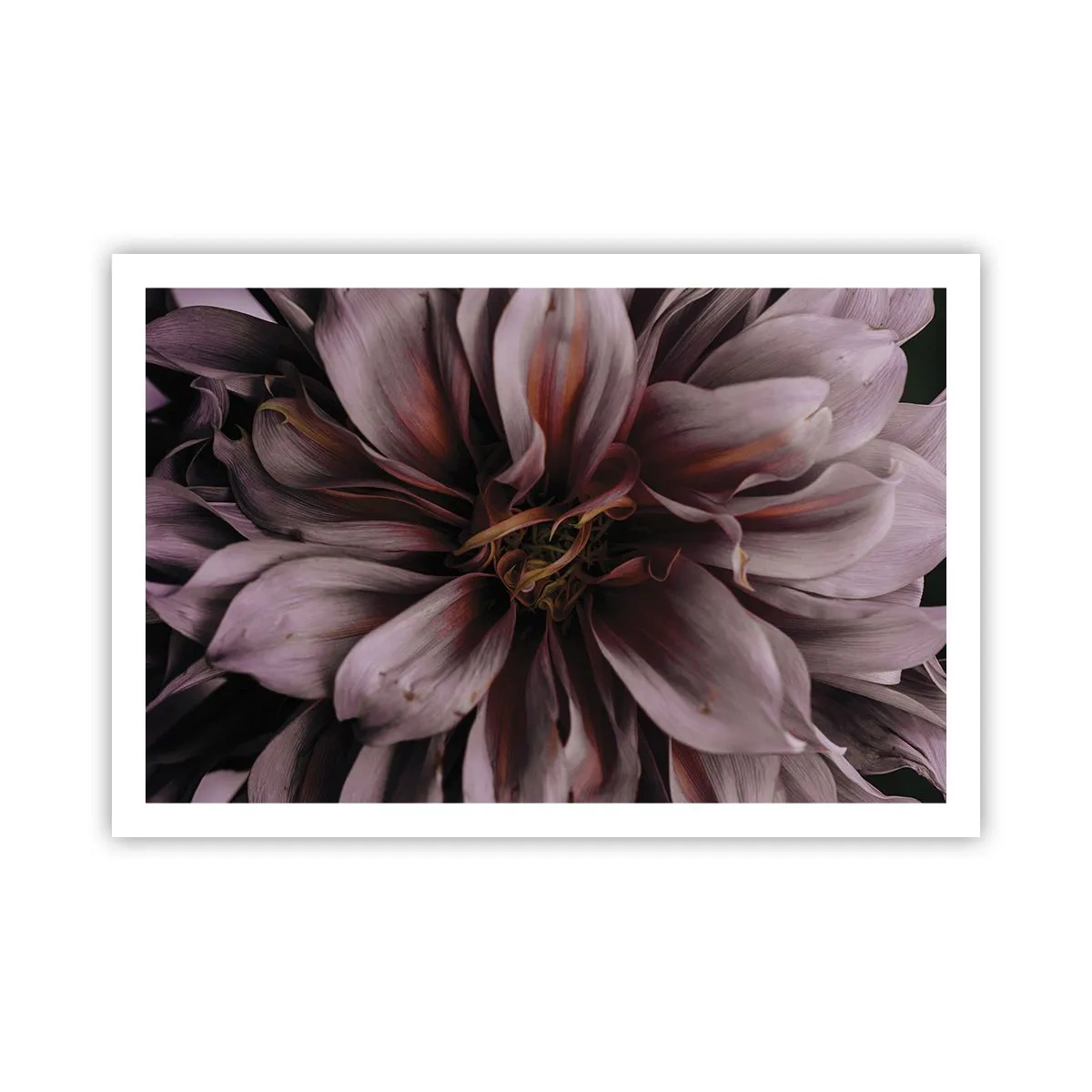 Affiche - Poster - Un coeur fleuri - 91x61 cm