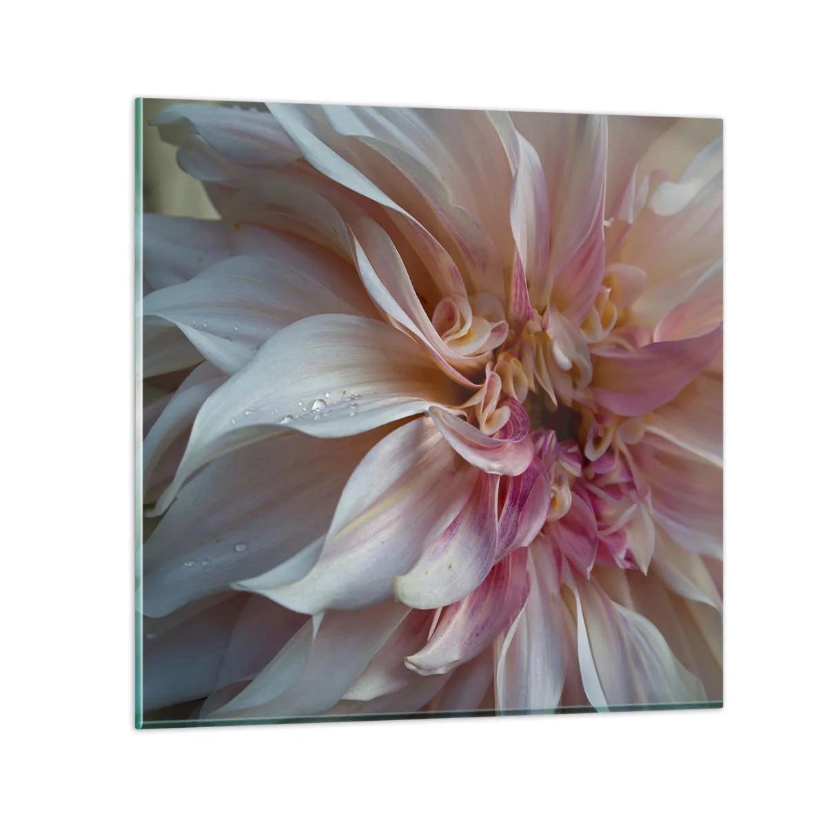 Impression sur verre - Image sur verre - Fraîcheur fleurissante - 30x30 cm