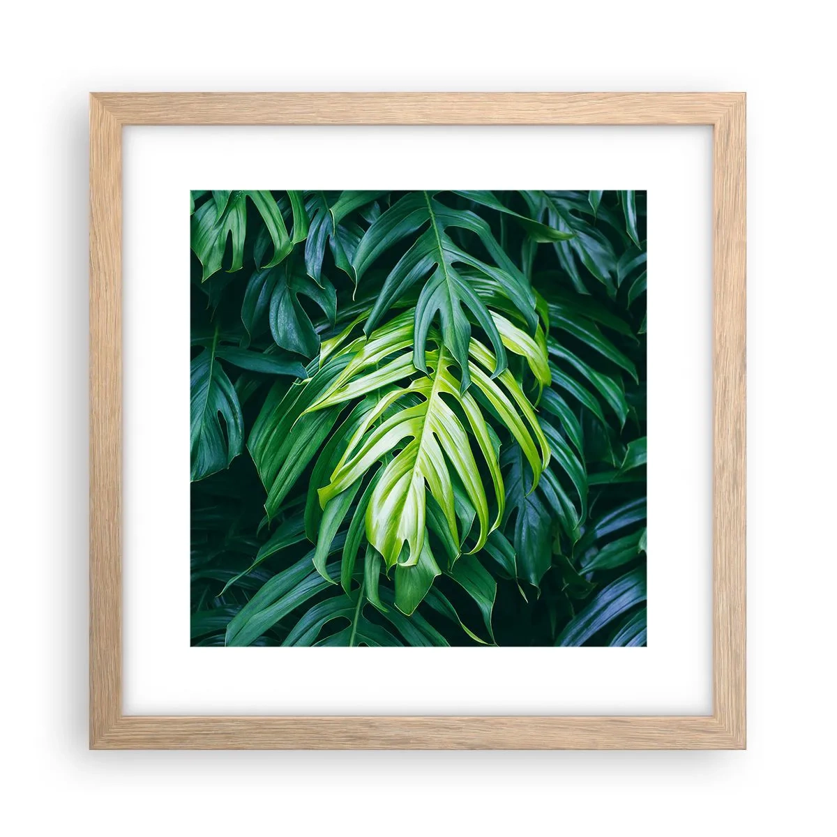 Affiche dans un chêne clair - Poster - Immergez-vous dans la fraîcheur - 30x30 cm