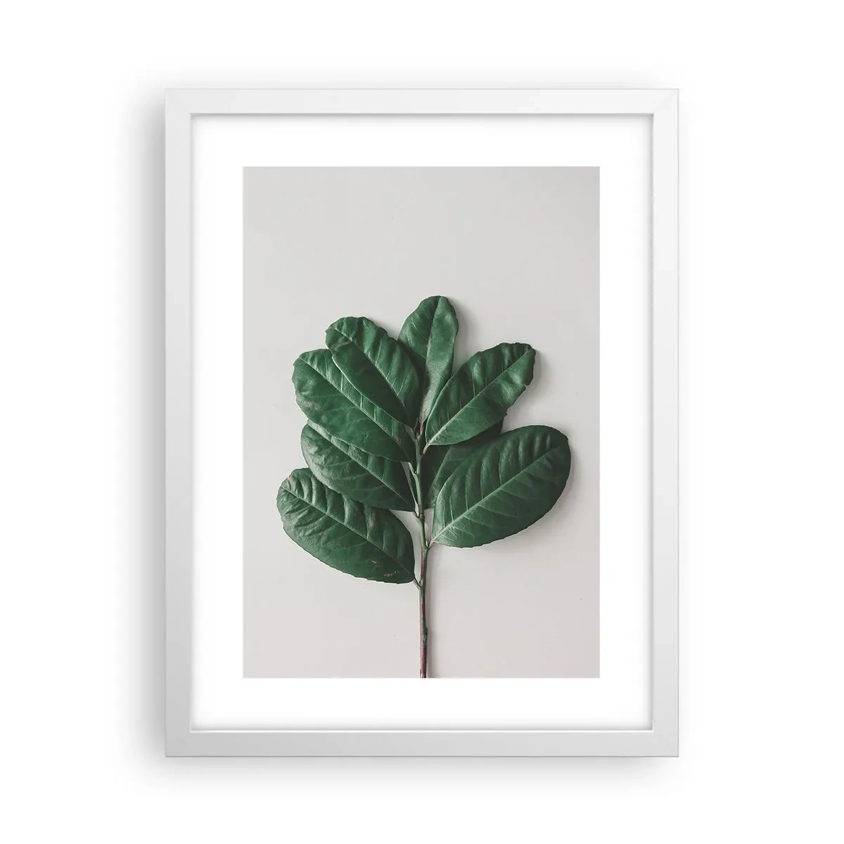 Affiche dans un cadre blanc - Poster - Dessin de la nature elle-même - 30x40 cm