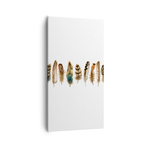 Impression sur toile - Image sur toile - Variation à plumes - 55x100 cm
